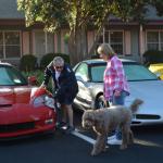 CambriaCN_0066 (November 05, 2016)